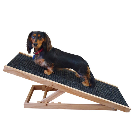 Dachshund on folding timber dog ramp 