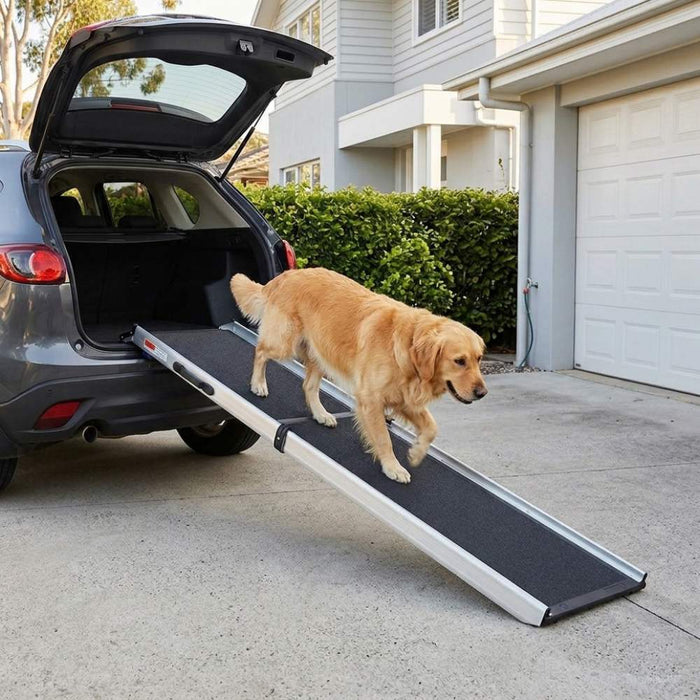 Best dog ramp for car SUV or ute Australia — golden retriever using a telescopic folding dog ramp