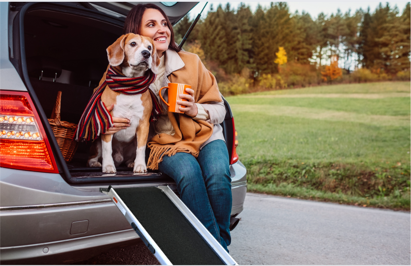 How to train your dog to use a dog ramp