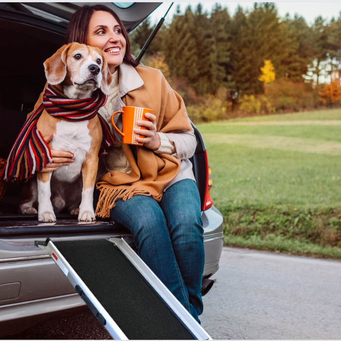 How to train your dog to use a dog ramp