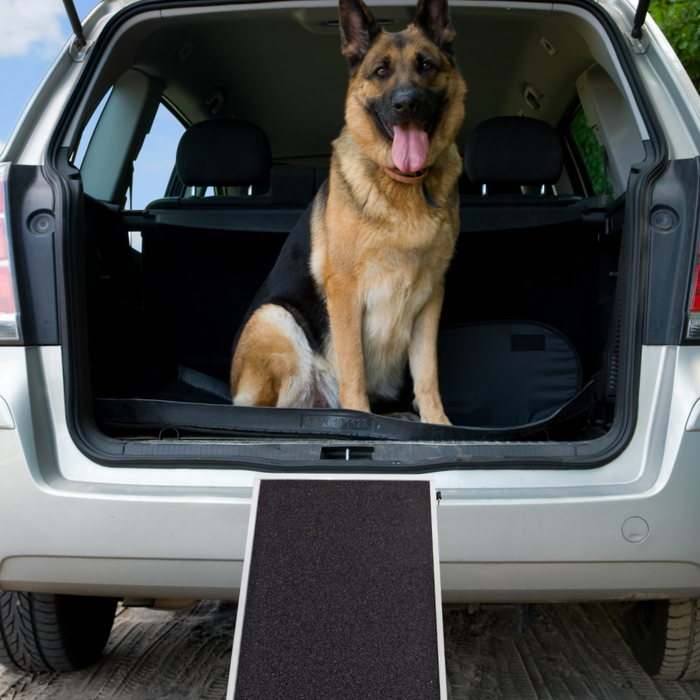 Dog Ramps For Cars