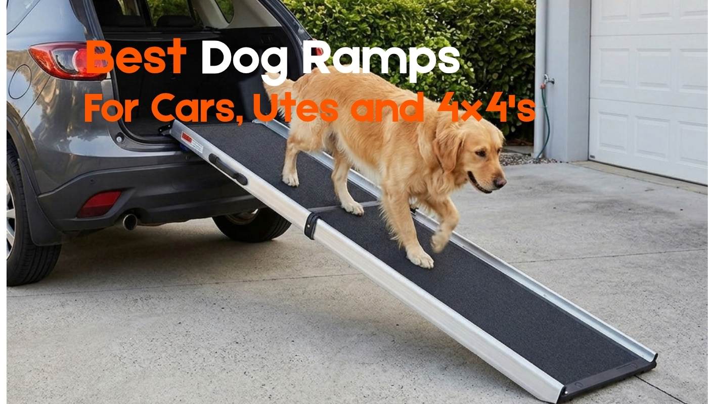 Best Dog Ramp for Car, 4x4 or Ute (2026 Australian Buying Guide)