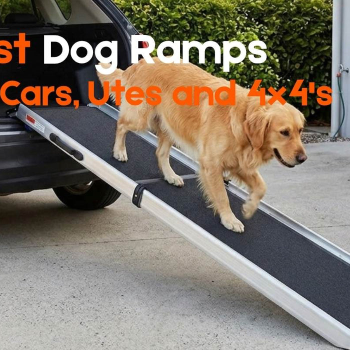 Best Dog Ramp for Car, 4x4 or Ute (2026 Australian Buying Guide)