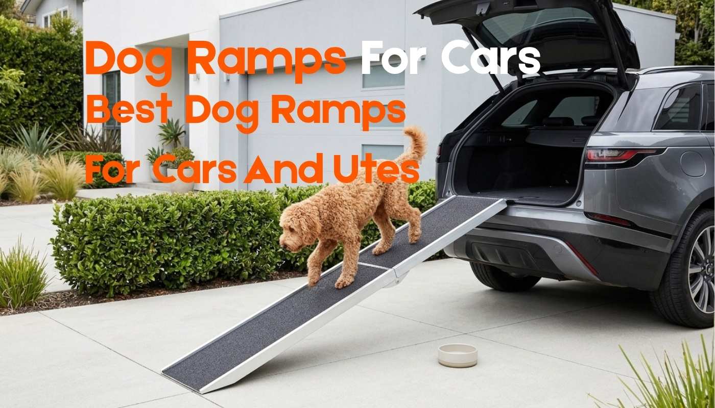 Best Dog Ramp For Cars And Utes