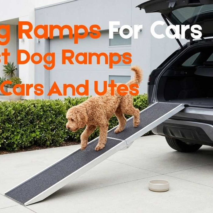 Best Dog Ramp For Cars And Utes
