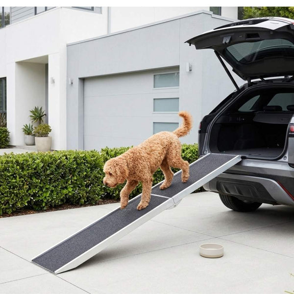 Dog ramp vs dog stairs comparison — senior dog walking up a folding aluminium dog ramp in Australia