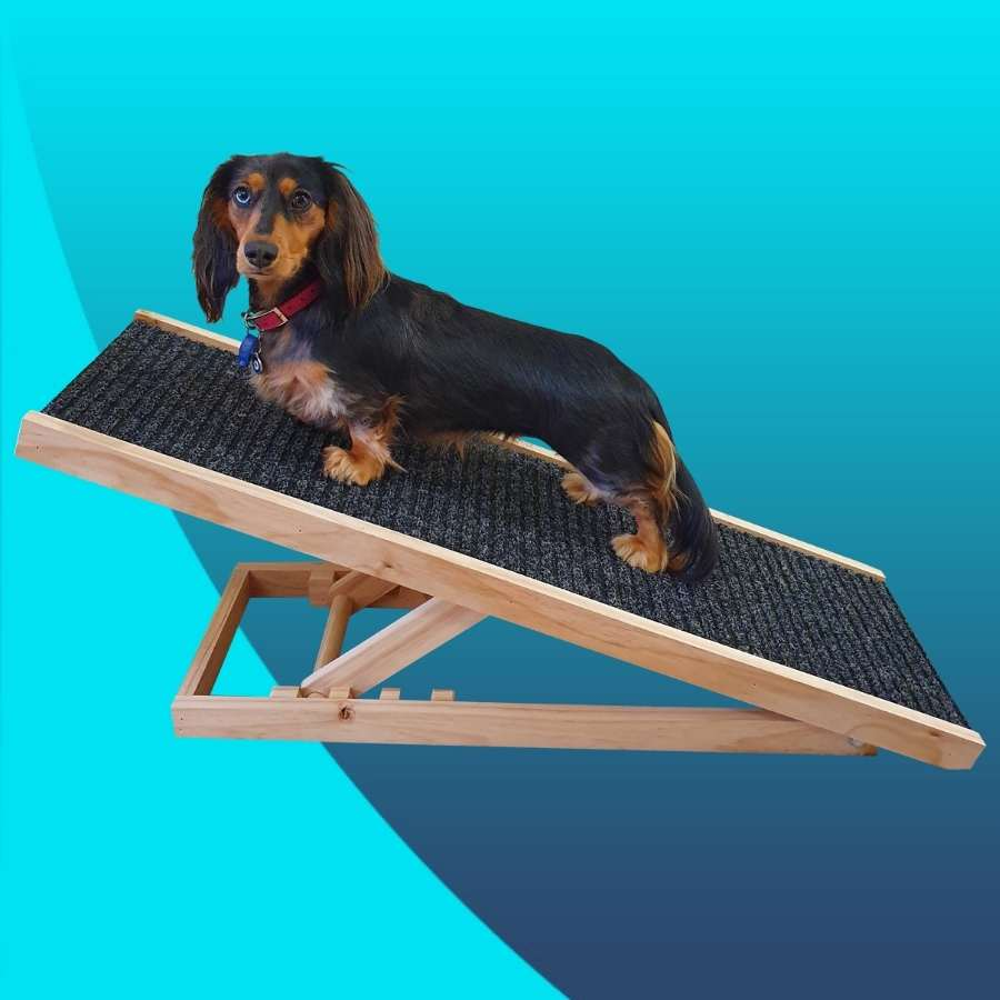 Dog Ramps