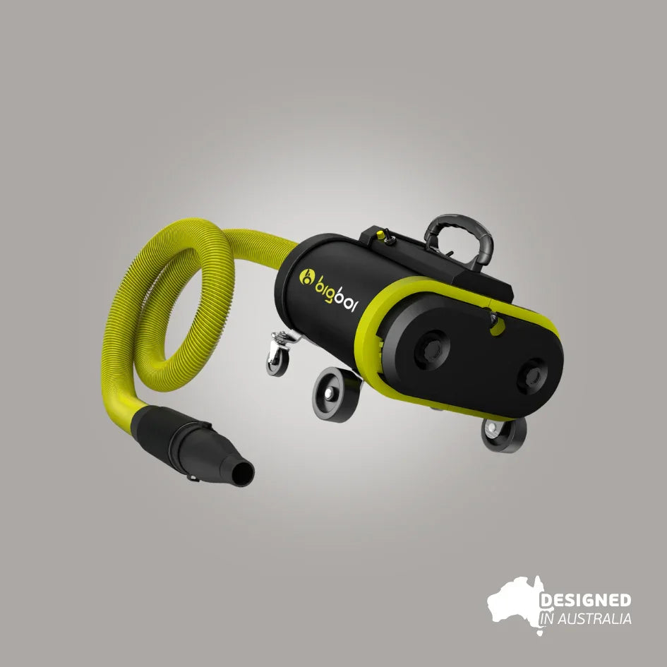 bigboi BlowR PRO MKII touchless car dryer