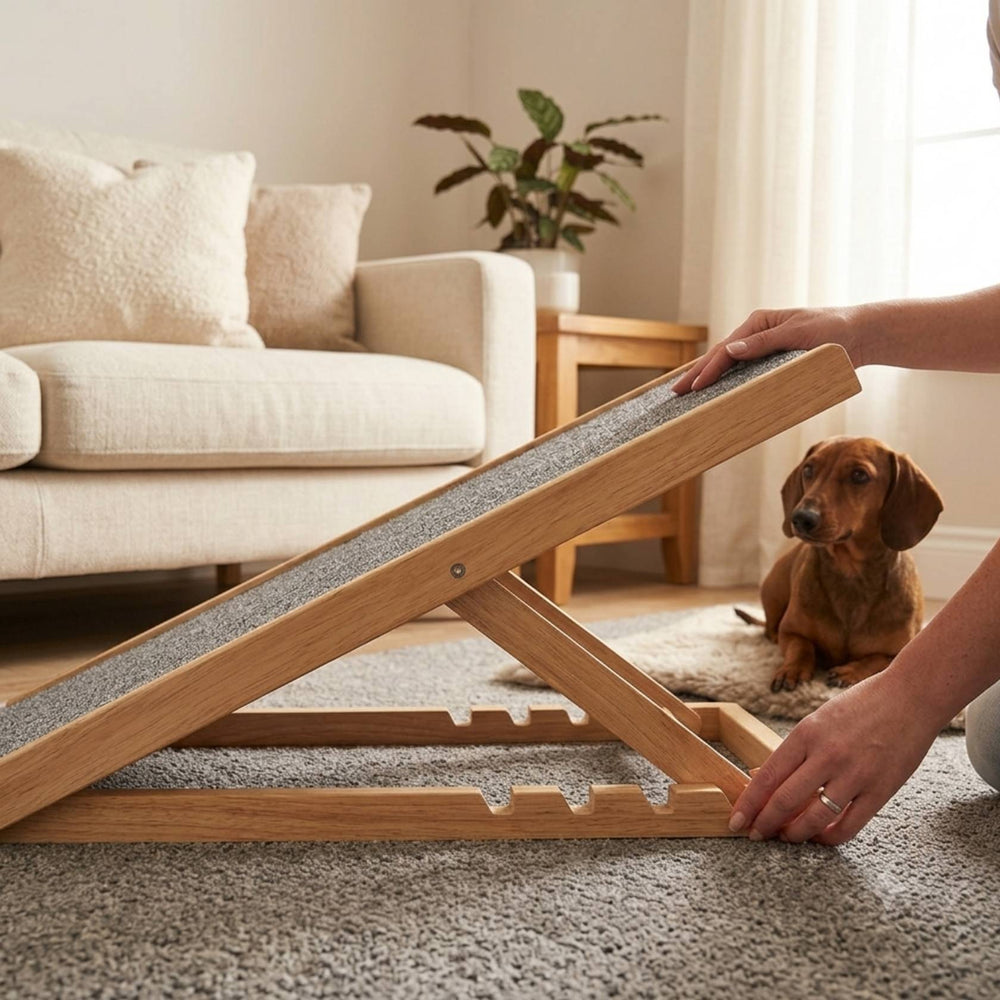 Folding Dachshund Dog Ramp