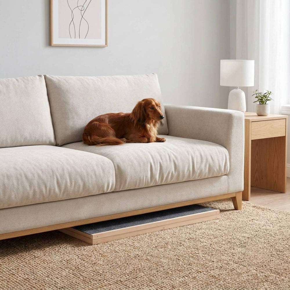 Folding Dachshund Dog Ramp