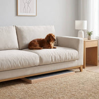 Folding Dachshund Dog Ramp
