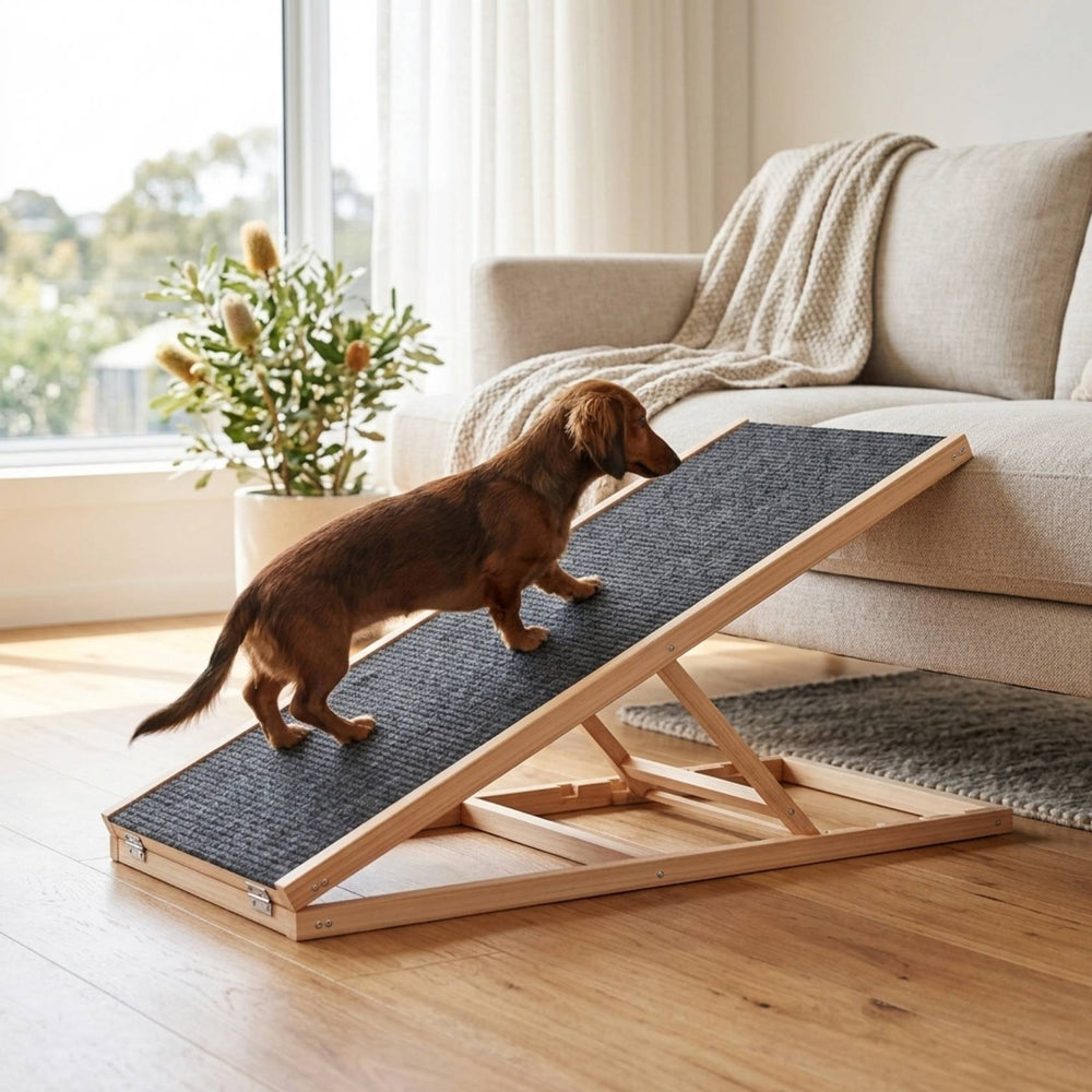 Folding Dachshund Dog Ramp