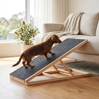 Folding Dachshund Dog Ramp