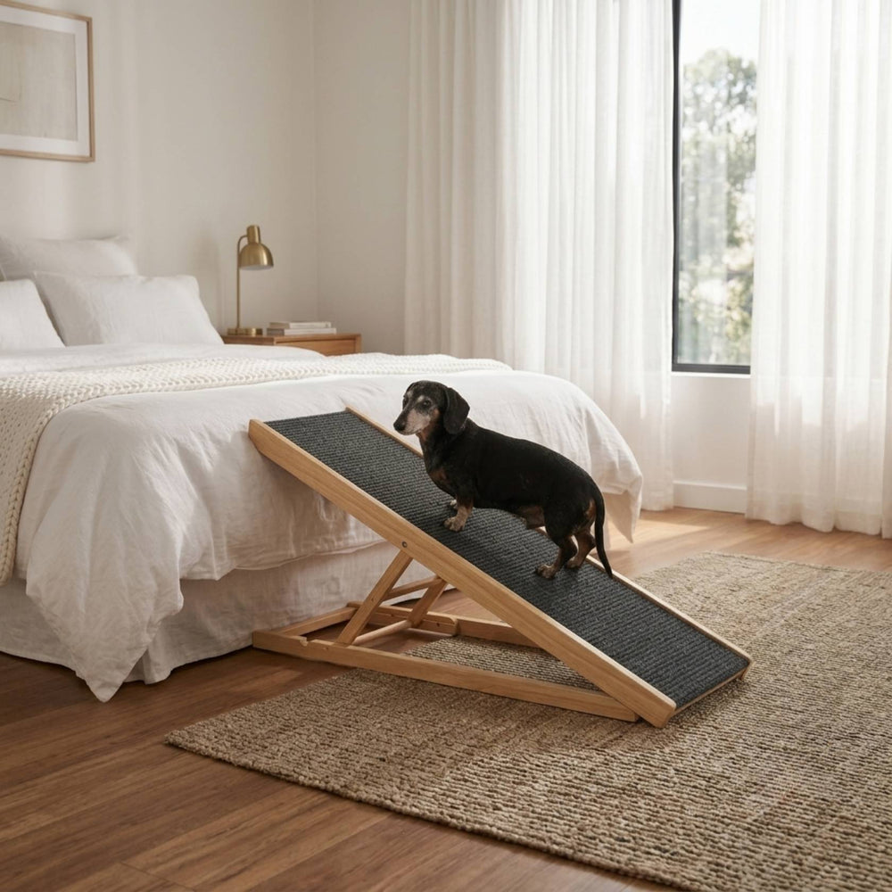Folding Dachshund Dog Ramp