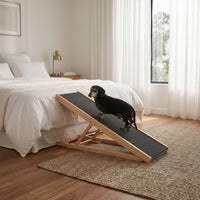 Folding Dachshund Dog Ramp