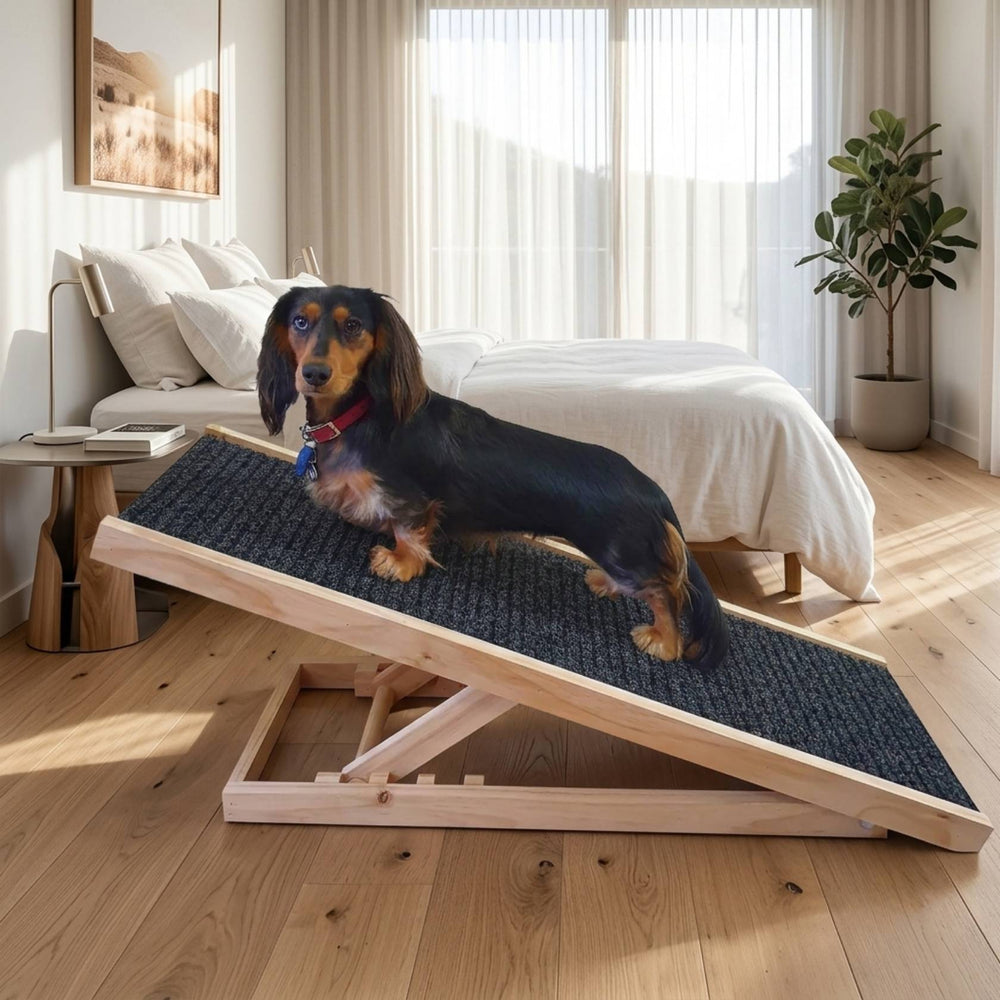Australian Made Folding Dachshund Dog Ramp