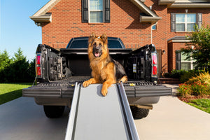 PetSafe 2.2m Extra-long Telescoping Dog Ramp